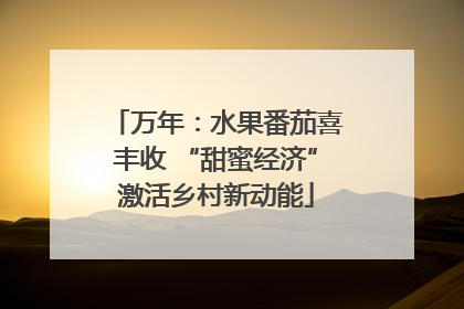 万年：水果番茄喜丰收 “甜蜜经济”激活乡村新动能