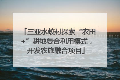三亚水蛟村探索“农田+”耕地复合利用模式，开发农旅融合项目