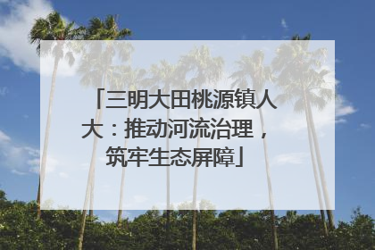 三明大田桃源镇人大：推动河流治理，筑牢生态屏障
