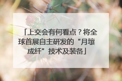 上交会有何看点？将全球首展自主研发的“月壤成纤”技术及装备