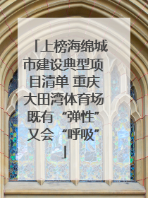 上榜海绵城市建设典型项目清单 重庆大田湾体育场既有“弹性”又会“呼吸”
