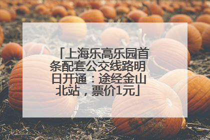 上海乐高乐园首条配套公交线路明日开通：途经金山北站，票价1元