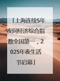 上海连续5年夜间经济综合指数全国第一，2025年夜生活节启幕