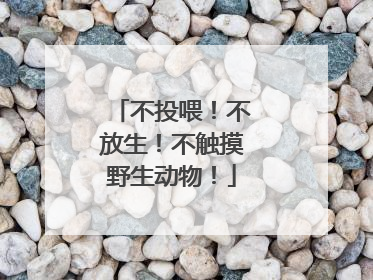 不投喂！不放生！不触摸野生动物！