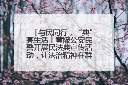 与民同行，“典”亮生活丨黄陂公安民警开展民法典宣传活动，让法治精神在群众心中落地生根