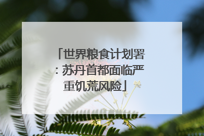 世界粮食计划署：苏丹首都面临严重饥荒风险