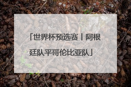 世界杯预选赛丨阿根廷队平哥伦比亚队