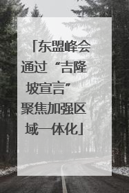 东盟峰会通过“吉隆坡宣言” 聚焦加强区域一体化