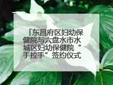 东昌府区妇幼保健院与六盘水市水城区妇幼保健院“手拉手”签约仪式成功举办