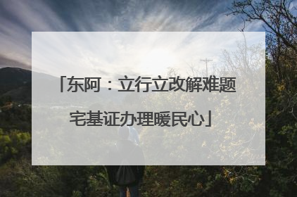 东阿：立行立改解难题 宅基证办理暖民心