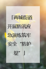 两城街道开展防汛应急演练筑牢安全“防护堤”