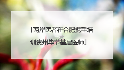 两岸医者在合肥携手培训贵州毕节基层医师