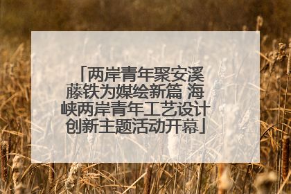 两岸青年聚安溪 藤铁为媒绘新篇 海峡两岸青年工艺设计创新主题活动开幕