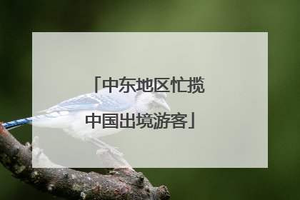中东地区忙揽中国出境游客
