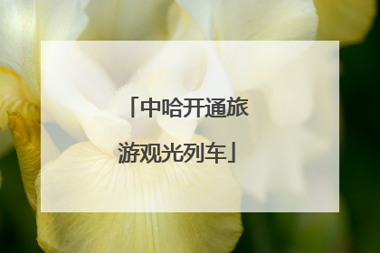 中哈开通旅游观光列车