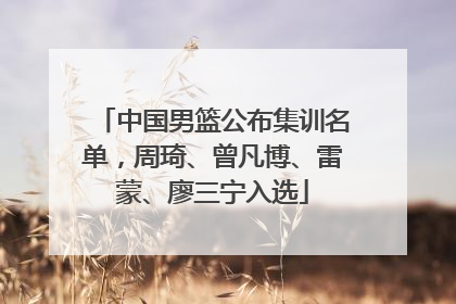 中国男篮公布集训名单，周琦、曾凡博、雷蒙、廖三宁入选