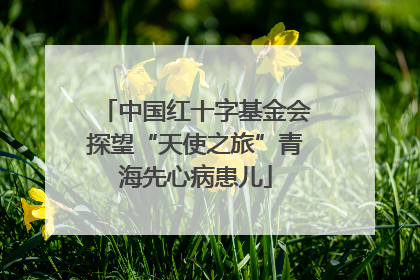 中国红十字基金会探望“天使之旅”青海先心病患儿