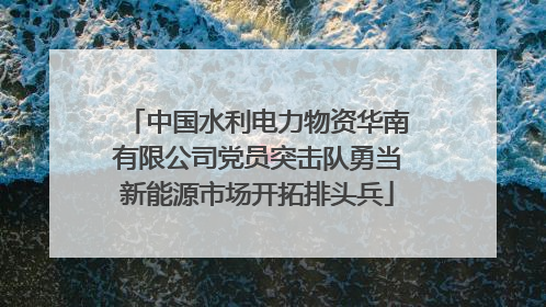 中国水利电力物资华南有限公司党员突击队勇当新能源市场开拓排头兵