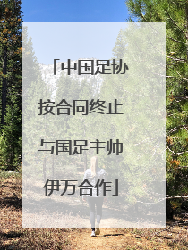 中国足协按合同终止与国足主帅伊万合作