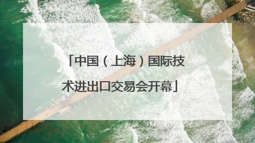 中国（上海）国际技术进出口交易会开幕