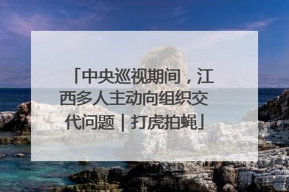 中央巡视期间，江西多人主动向组织交代问题｜打虎拍蝇