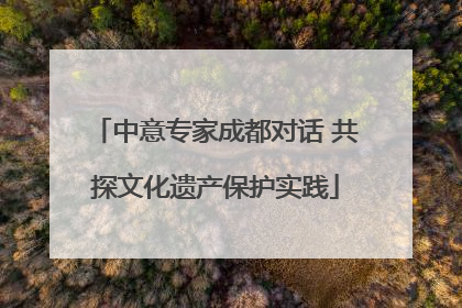 中意专家成都对话 共探文化遗产保护实践