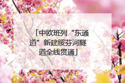 中欧班列“东通道”新建绥芬河隧道全线贯通