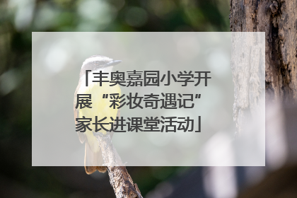 丰奥嘉园小学开展“彩妆奇遇记”家长进课堂活动