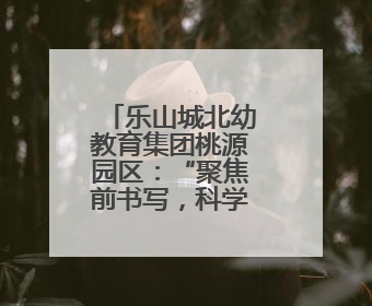 乐山城北幼教育集团桃源园区：“聚焦前书写，科学助衔接”