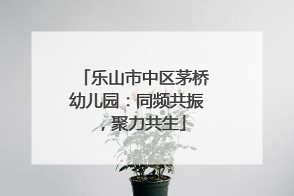 乐山市中区茅桥幼儿园：同频共振，聚力共生