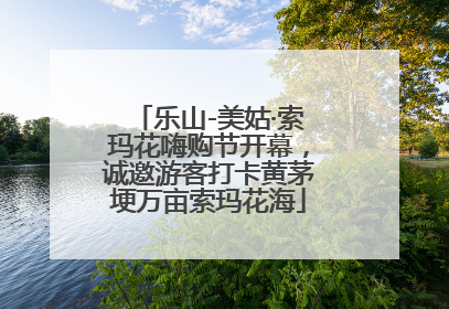 乐山-美姑·索玛花嗨购节开幕，诚邀游客打卡黄茅埂万亩索玛花海