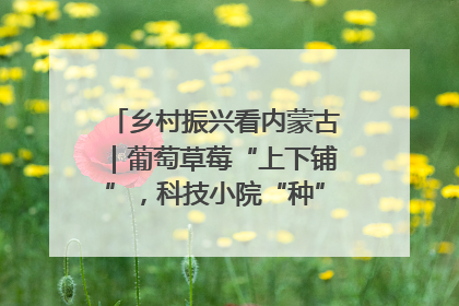 乡村振兴看内蒙古｜葡萄草莓“上下铺”，科技小院“种”出三倍效益