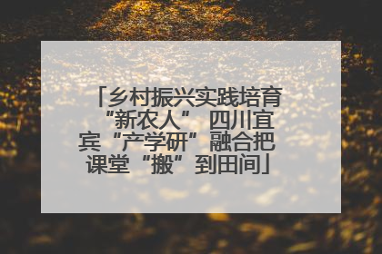 乡村振兴实践培育“新农人” 四川宜宾“产学研”融合把课堂“搬”到田间