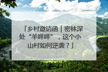 乡村邀请函｜密林深处“羊咩咩”，这个小山村如何逆袭？