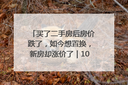 买了二手房后房价跌了，如今想置换，新房却涨价了｜100个买房故事