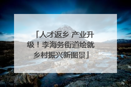 人才返乡 产业升级！李海务街道绘就乡村振兴新图景