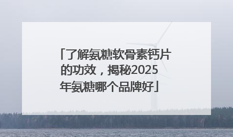 了解氨糖软骨素钙片的功效，揭秘2025年氨糖哪个品牌好