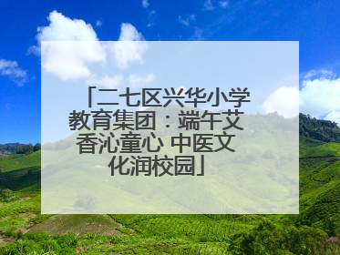 二七区兴华小学教育集团：端午艾香沁童心 中医文化润校园