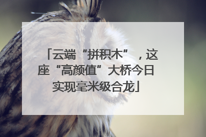 云端“拼积木”，这座“高颜值”大桥今日实现毫米级合龙