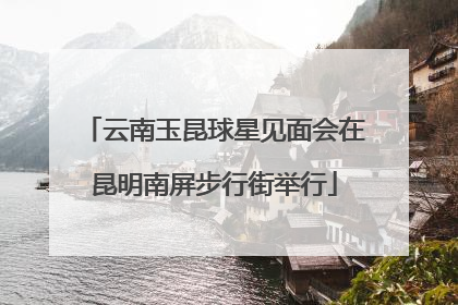 云南玉昆球星见面会在昆明南屏步行街举行