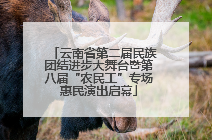 云南省第二届民族团结进步大舞台暨第八届“农民工”专场惠民演出启幕