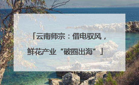 云南师宗：借电驭风，鲜花产业“破圈出海”