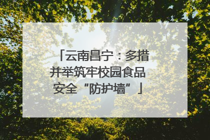 云南昌宁：多措并举筑牢校园食品安全“防护墙”