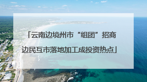 云南边境州市“组团”招商 边民互市落地加工成投资热点