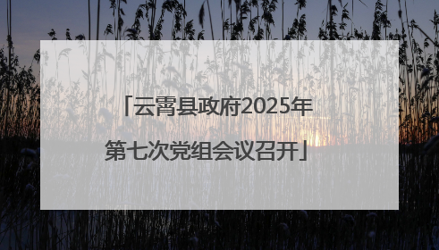 云霄县政府2025年第七次党组会议召开