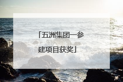 五洲集团一参建项目获奖