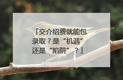 交介绍费就能包录取？是“机遇”还是“陷阱”？