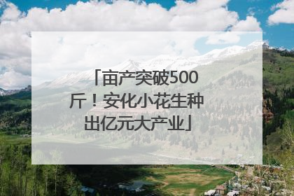 亩产突破500斤！安化小花生种出亿元大产业