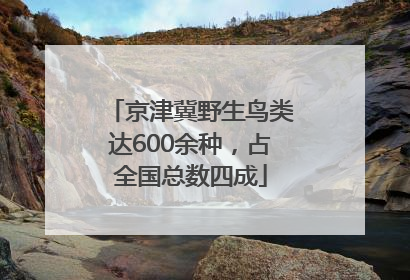 京津冀野生鸟类达600余种，占全国总数四成