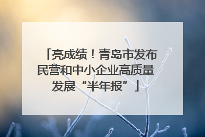 亮成绩！青岛市发布民营和中小企业高质量发展“半年报”